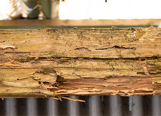 シロアリリフォーム