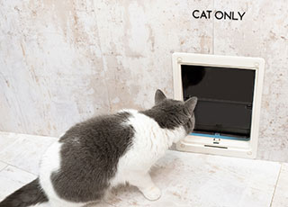 ペットリフォーム