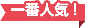 一番人気！